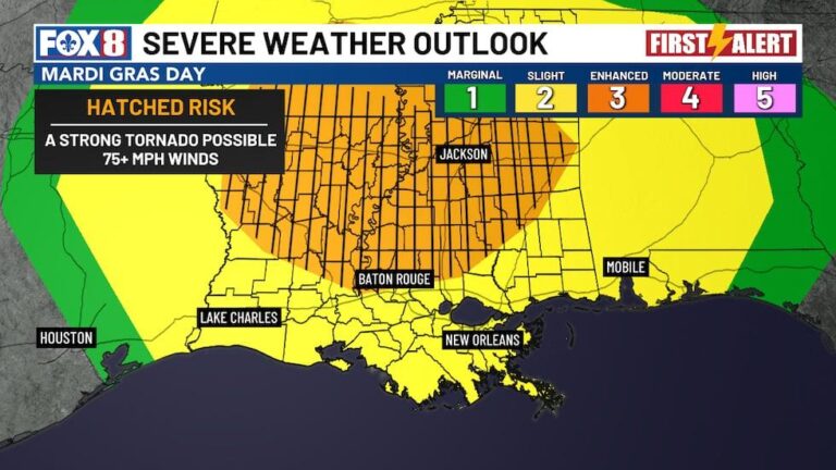 Mardi Gras 2025 em Nova Orleans: Paradas com Mudanças ante Condições Climáticas Severas