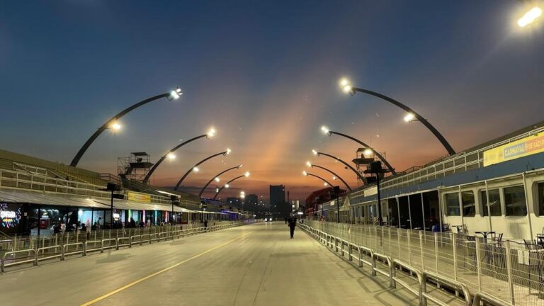 Carnaval de São Paulo 2025: Gaviões, Tucuruvi e Vai-Vai Brilham no 2º Dia de Desfiles