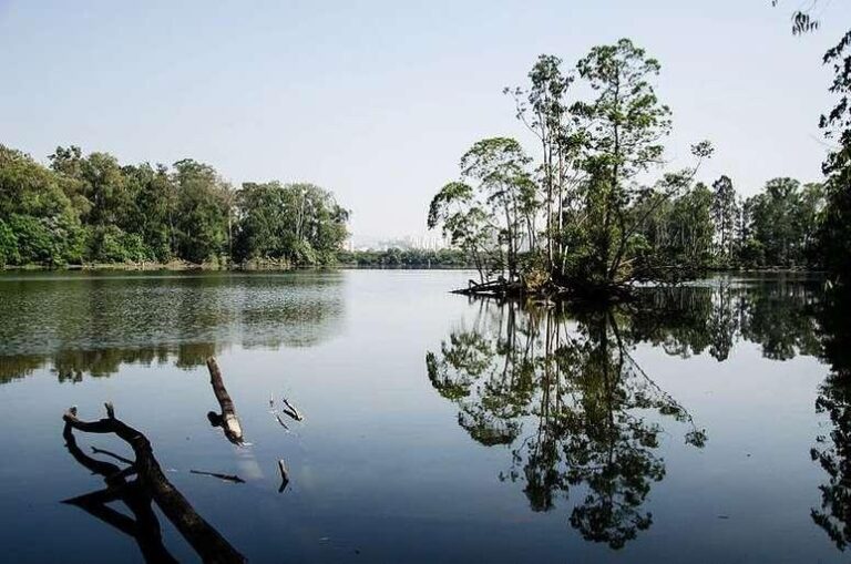 Programas Alternativos para o Carnaval em São Paulo: Cultura, Natureza e Lazer