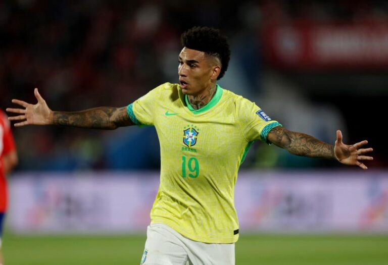 Botafogo em Destaque: Ausência de Convocados para a Seleção Brasileira