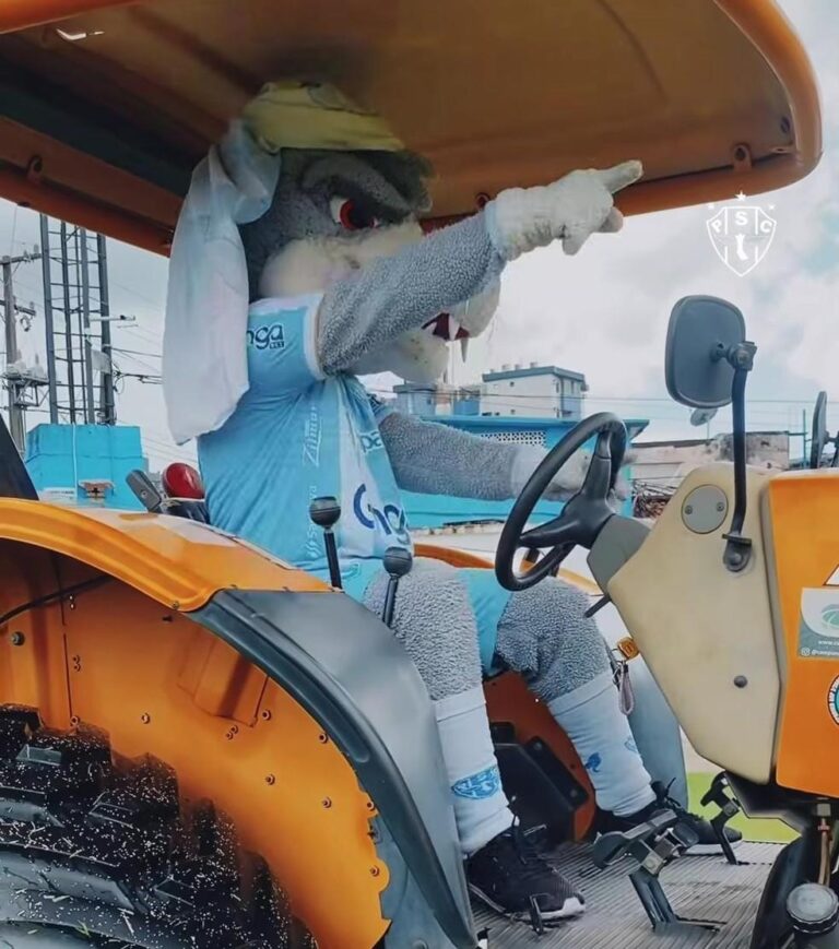 Reparos no Gramado da Curuzu: Paysandu Temporariamente no Mangueirão