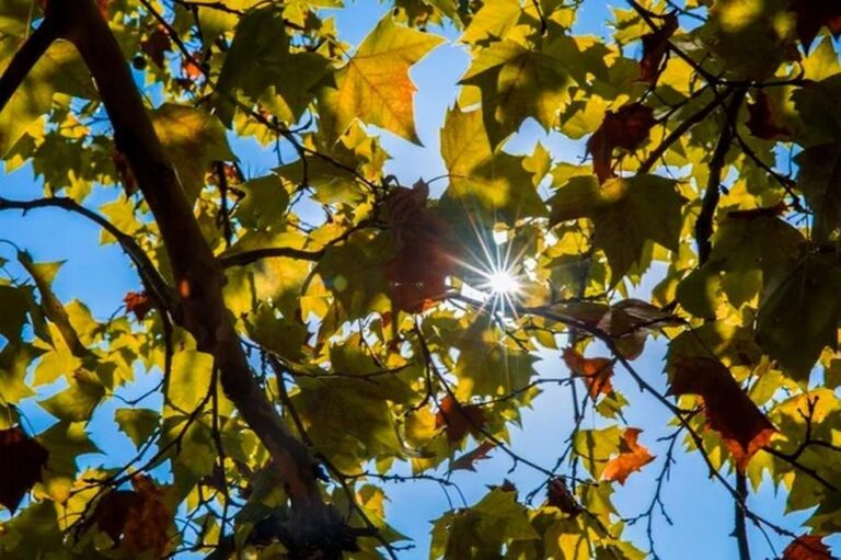 Outono traz chuvas normais no Rio Grande do Norte e temperaturas elevadas em outras regiões