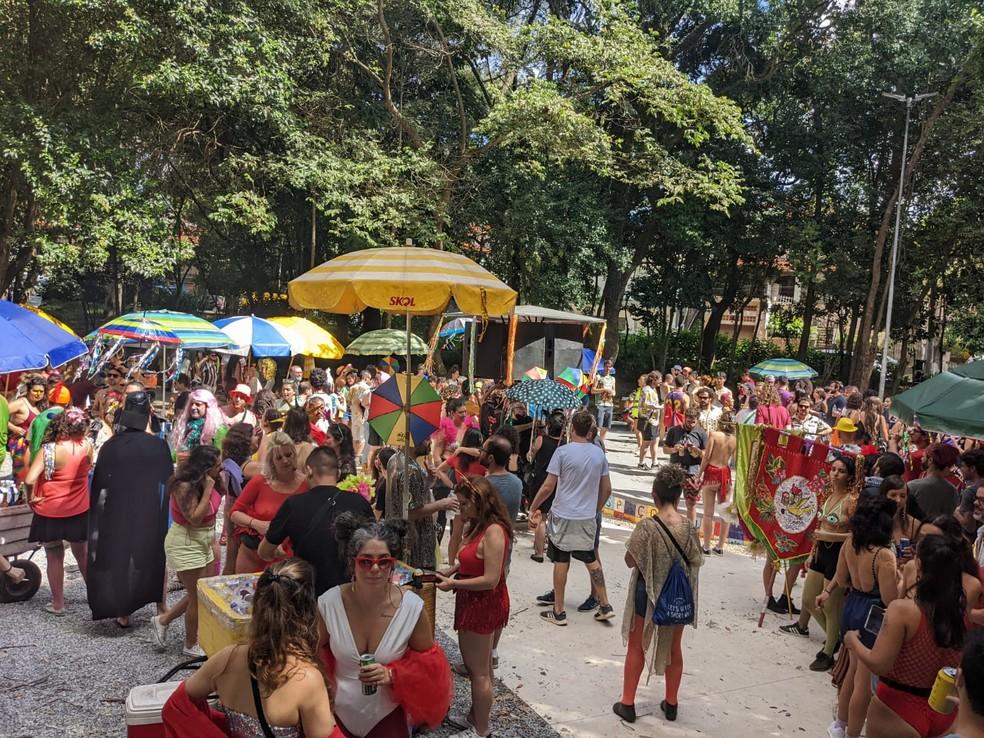 Foliões no Bloco Cerca Frango