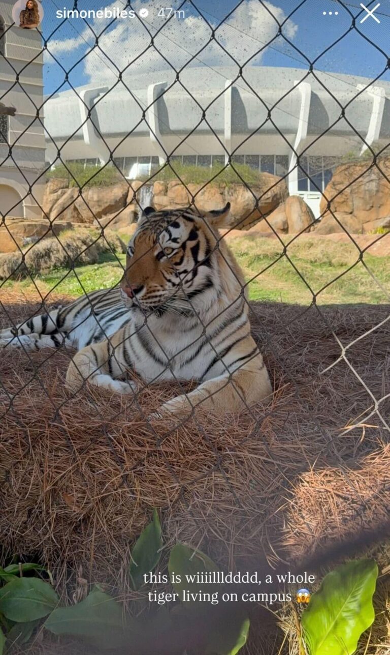 Simone Biles Visita a Equipe de Ginástica da LSU e Causa Repercussão entre Fãs e Atletas