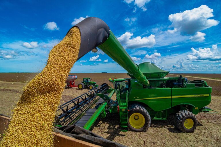 Produção de Grãos no Brasil Deve Alcançar Recorde de 328,3 Milhões de Toneladas na Safra 2024/25