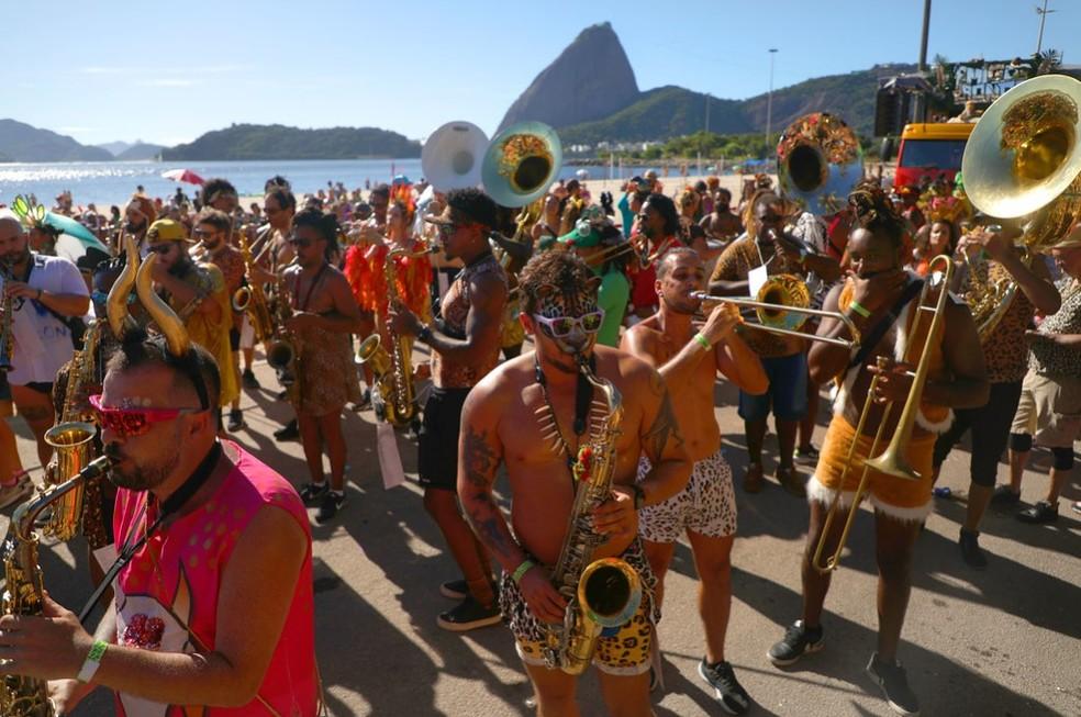 Amigos da Onça na Praia do Flamengo