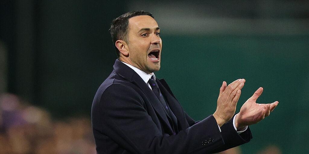 Fiorentina, Palladino: 'Gosens ha recuperato, credo in Zaniolo. Fagioli? Ci ho parlato e sta bene'