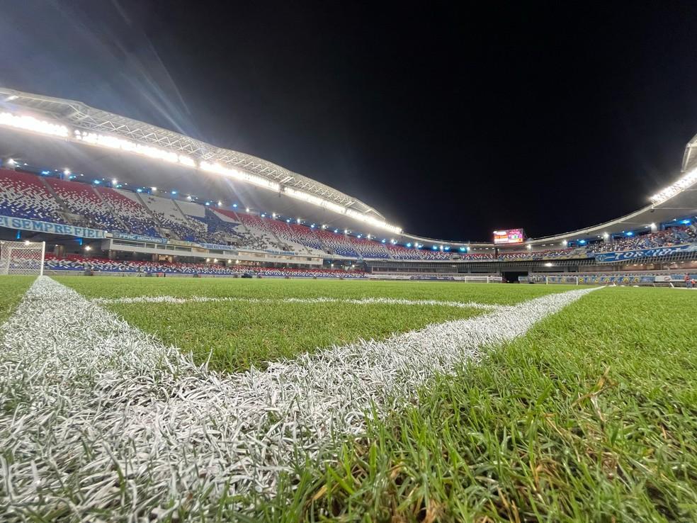 Gramado do Estádio Mangueirão