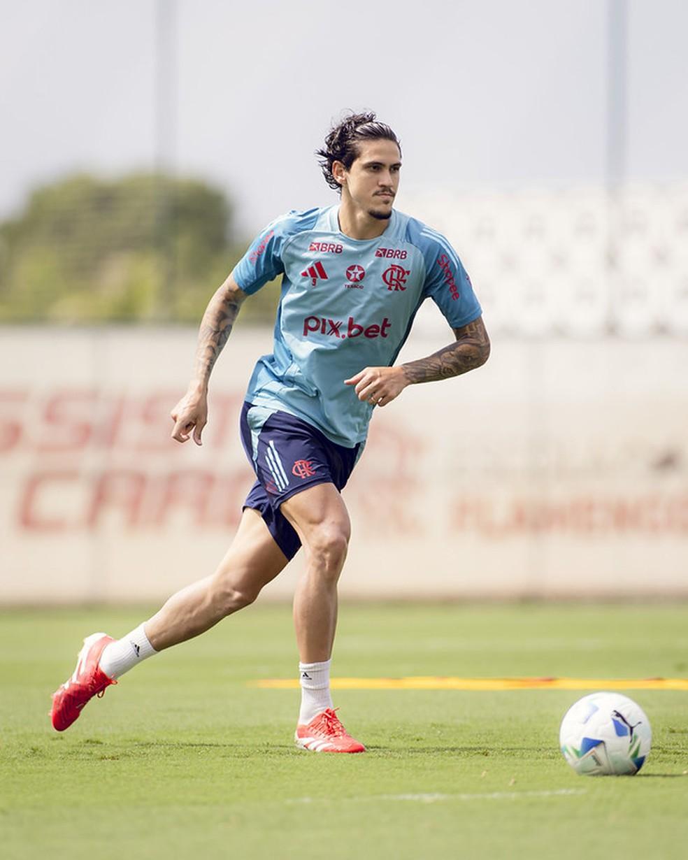 Pedro foi reintegrado ao elenco na última segunda-feira