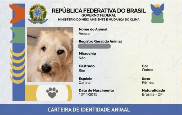 Governo Lança RG Animal: Entenda Como Registrar Seu Pet