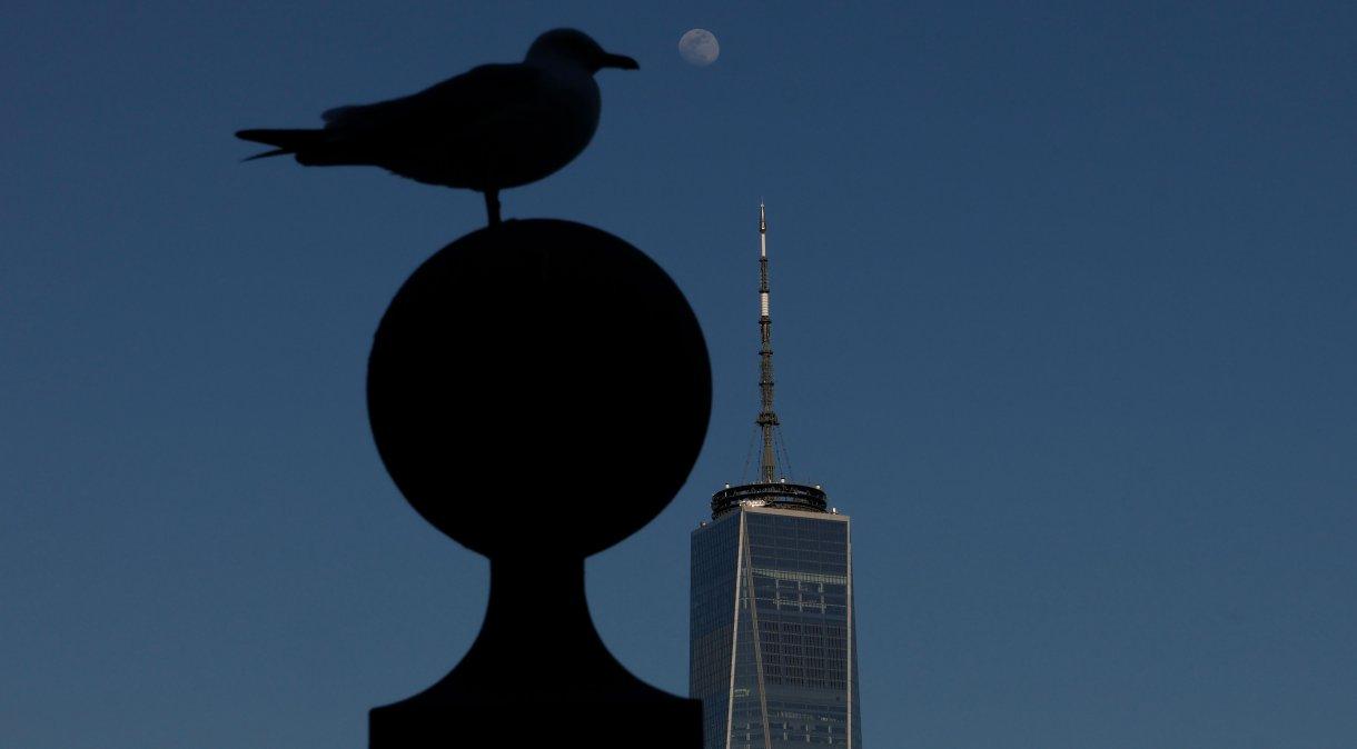 Microlua rosa nasceu no céu deste sábado (12)