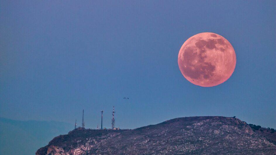 Veja como assistir ao vivo a Lua Rosa