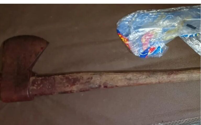 Tragédia Familiar em Goiás: Mãe é Presa Após Matar Filho a Machadadas