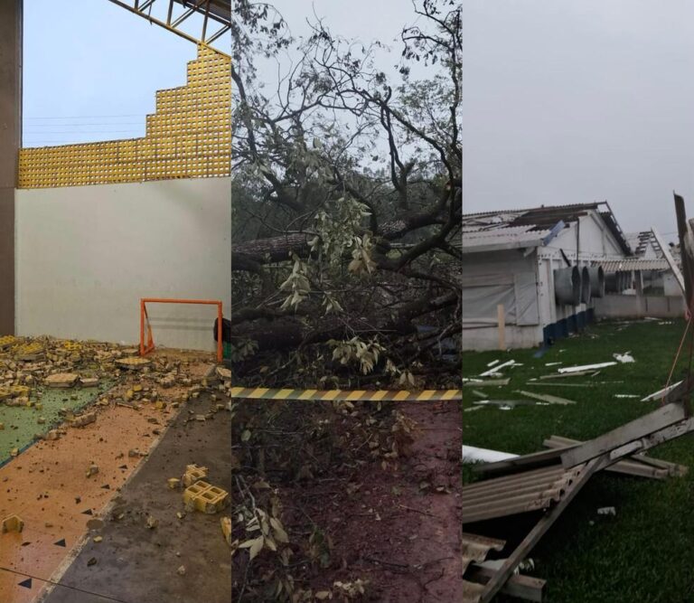 Vendaval em Santa Catarina Causa Morte e Danos em Diversas Cidades