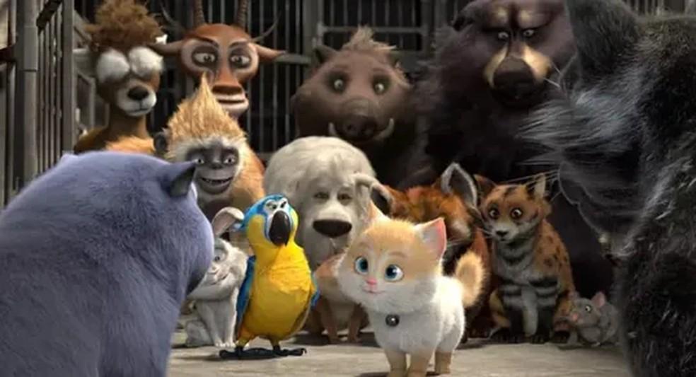 Cena de Cats e Gatolândia