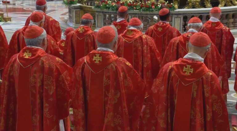 Conclave de 2025: Diversidade e Expectativa na Escolha do Novo Papa