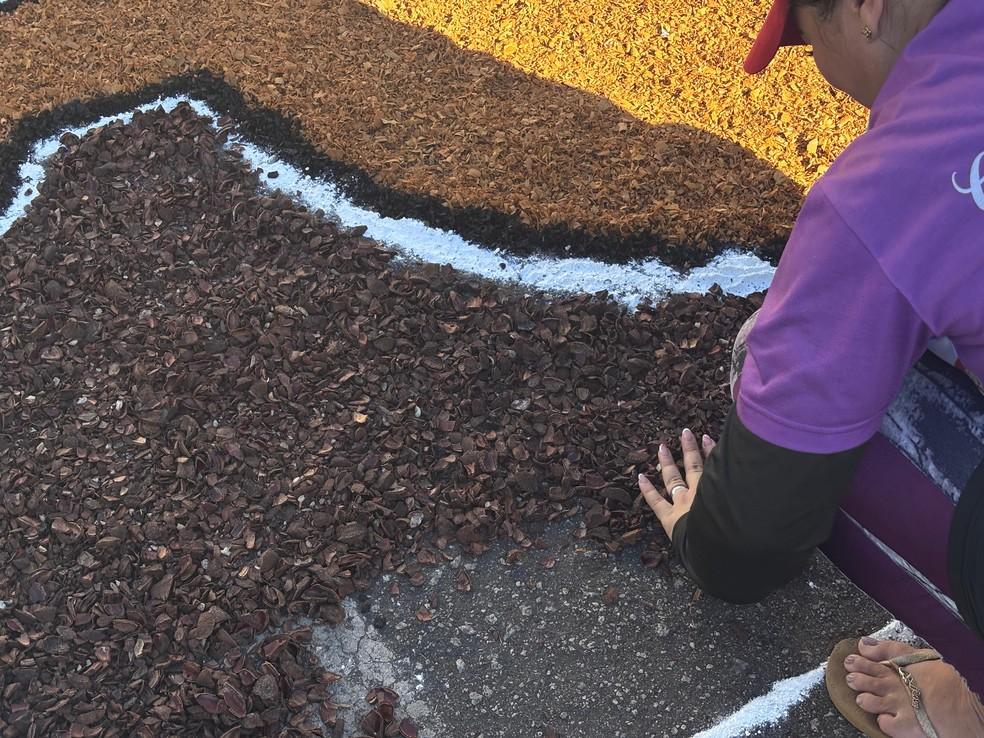 Tapetes são feitos de TNT e serragem e chegam a 500 metros em frente a Catedral na capital acreana