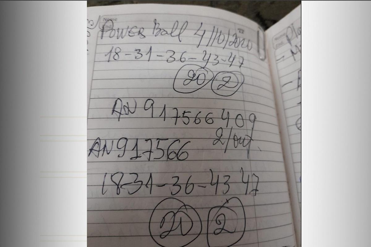 Imagem da agenda de Maria do Socorro Sombra