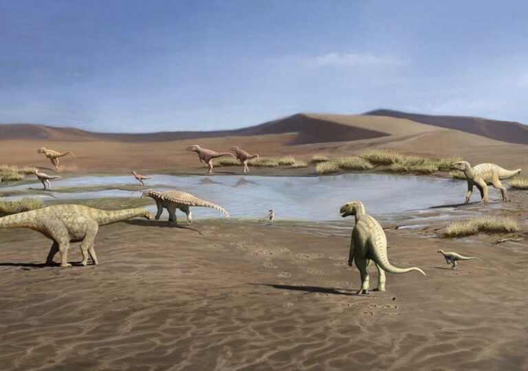 Dinossauros do Brasil e da Mongólia: Estratégias de Sobrevivência Semelhantes em Ambientes Desérticos