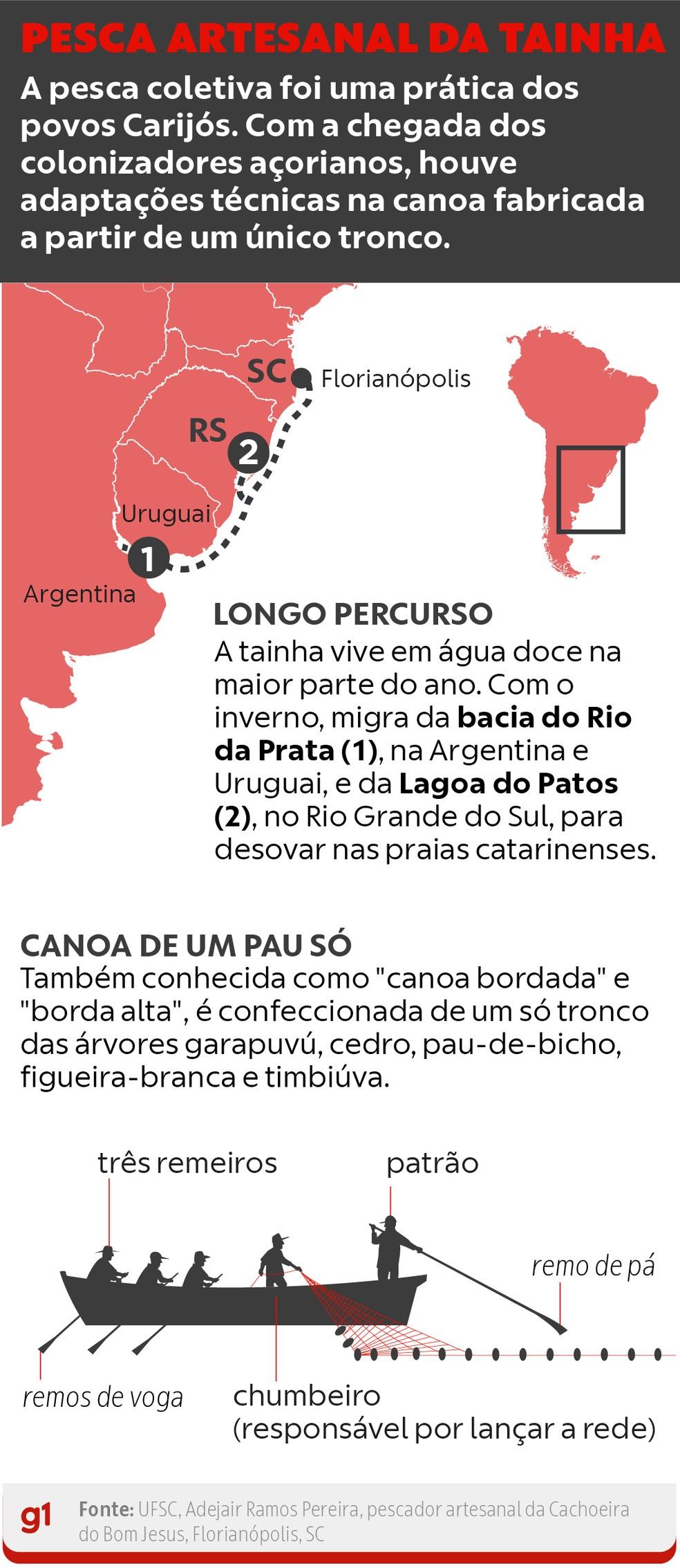 Pesca artesanal da tainha em Santa Catarina