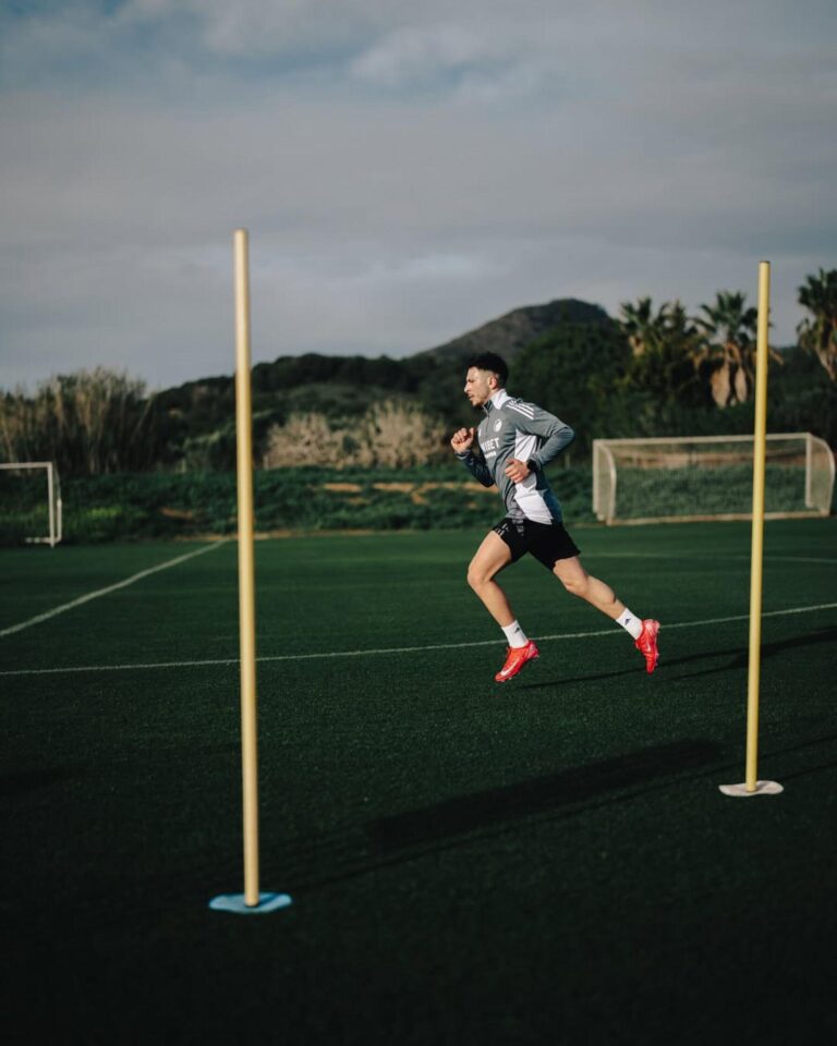 FC Porto e a Contratação de Roony Bardghji: Conversas Positivas Aceleram Negociações