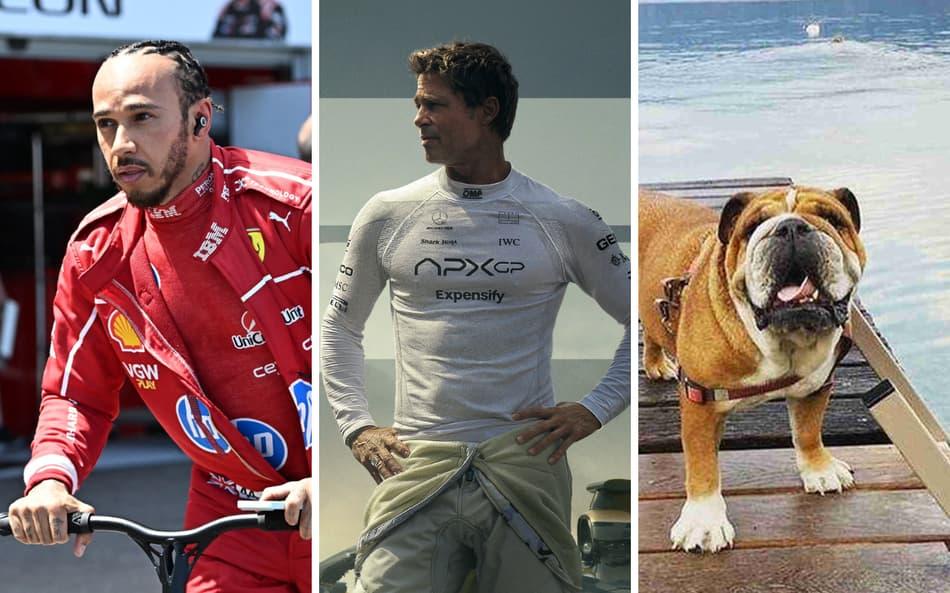 Lewis Hamilton, Brad Pitt e Roscoe são 'estrelas' do filme da Fórmula 1