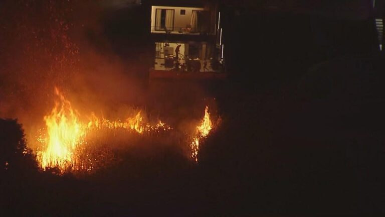 Incêndio em Vargem Grande: Chamas se Aproximam de Residências e Mobilizam Bombeiros