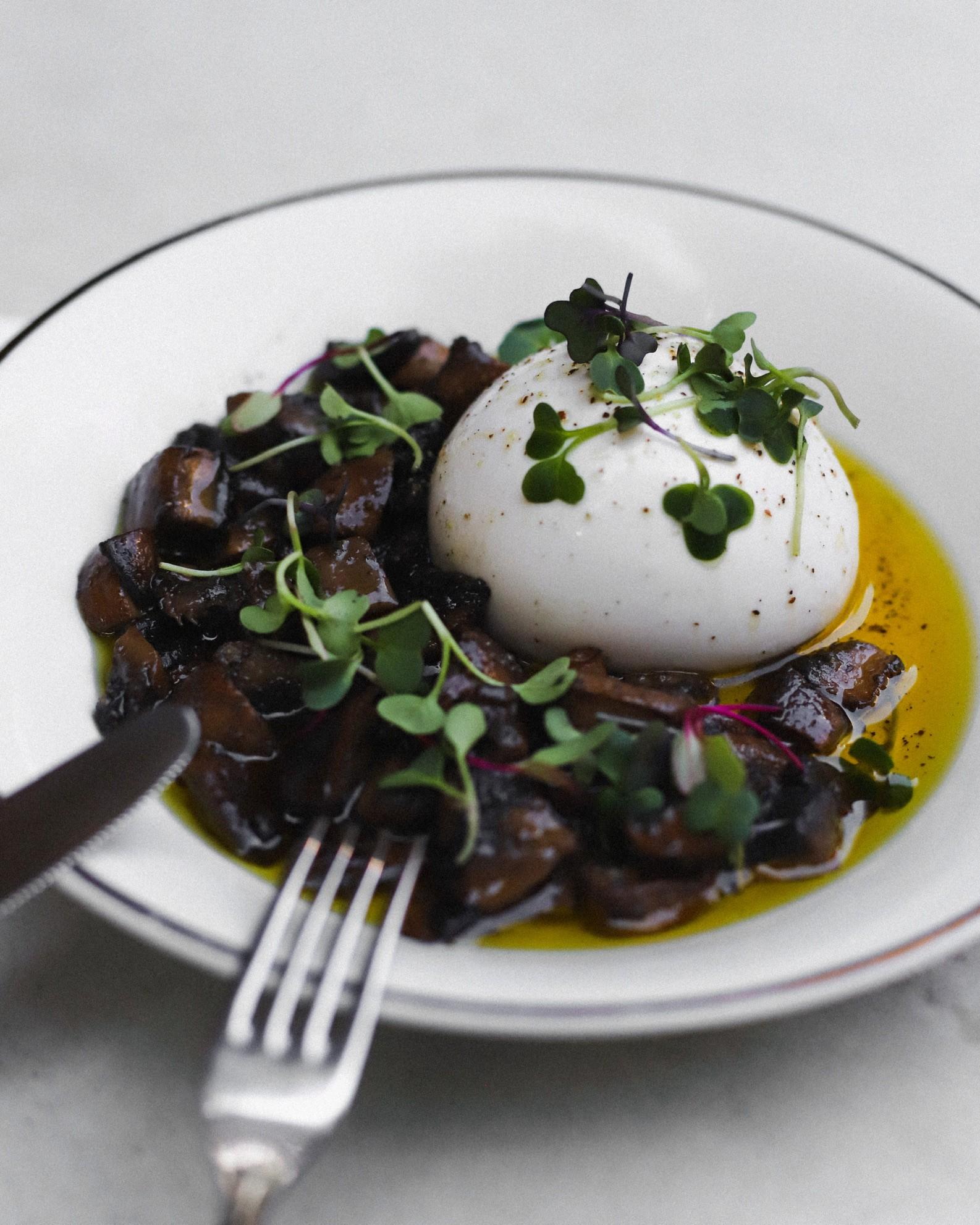 No Pope, a burrata de búfala acompanha cogumelo portobello e salsa de trufas (R$ 62)