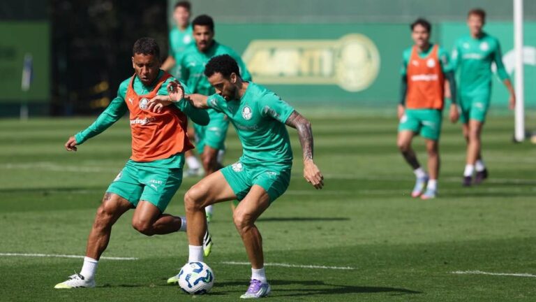 Palmeiras Se Prepara para Encontro com o Fluminense com Mudanças na Escalação