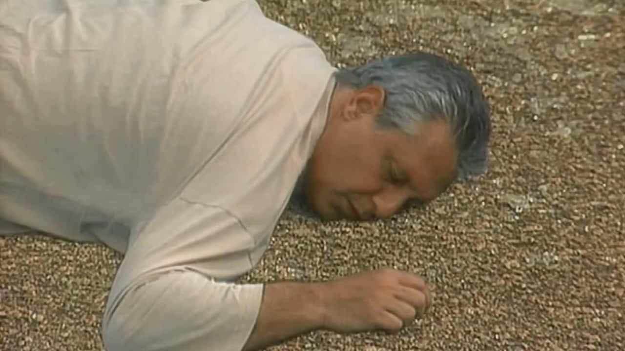 Antonio Fagundes como Otávio em A Viagem