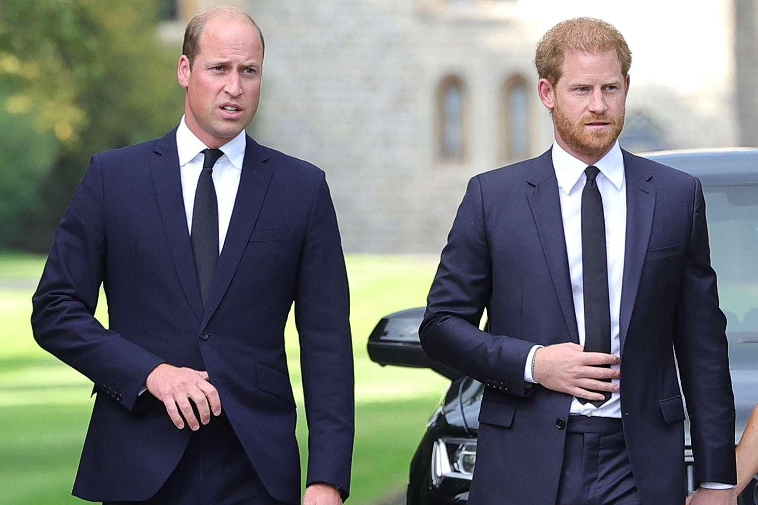 Princes William e Harry