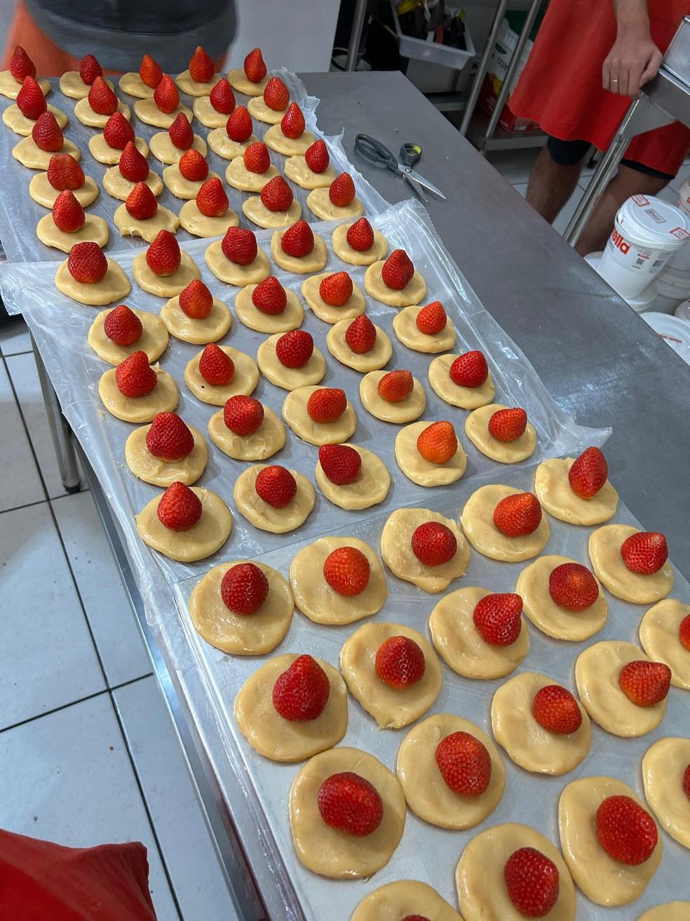 Produção do morango do amor em Atibaia