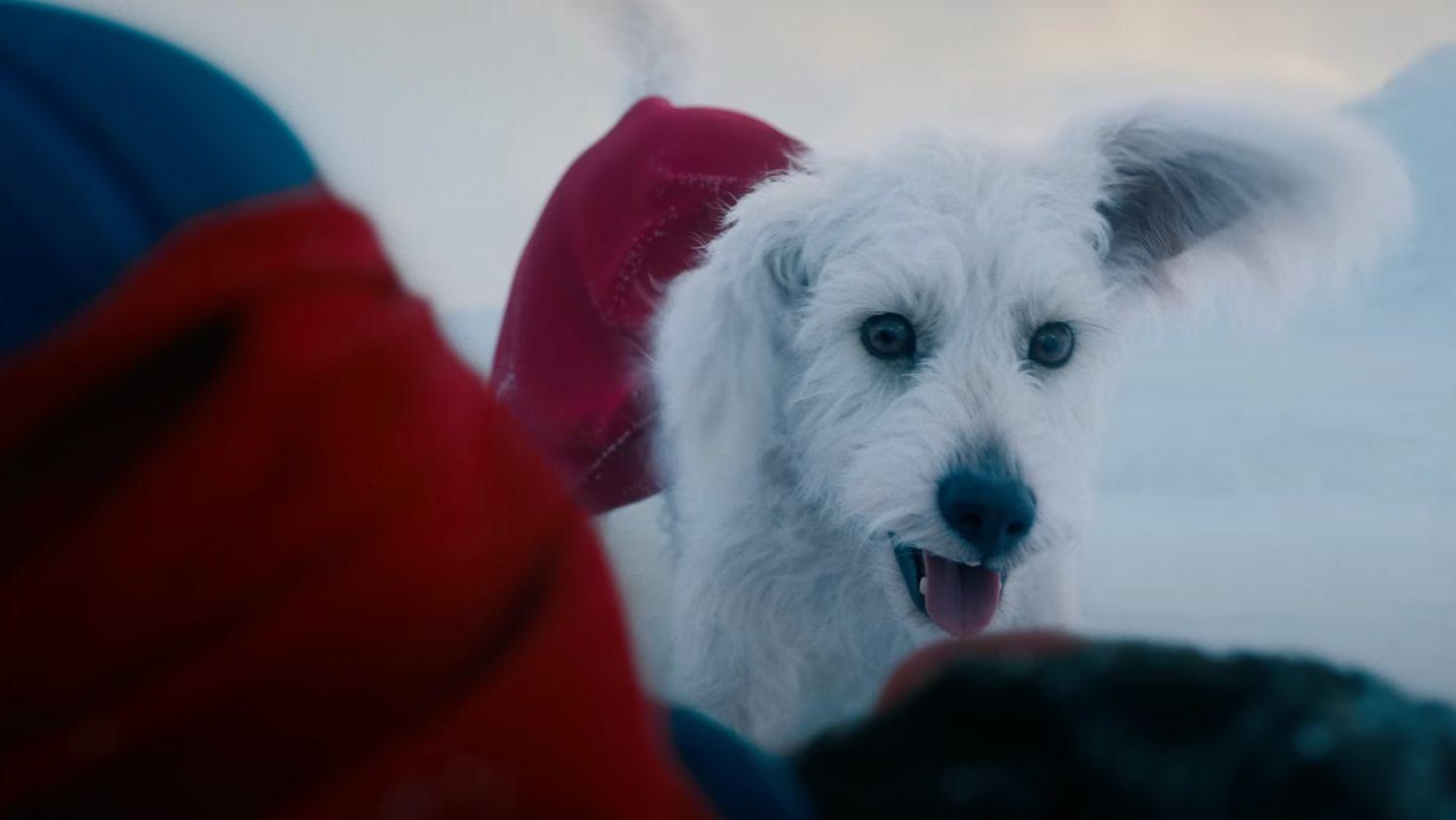 Krypto no novo filme do Superman