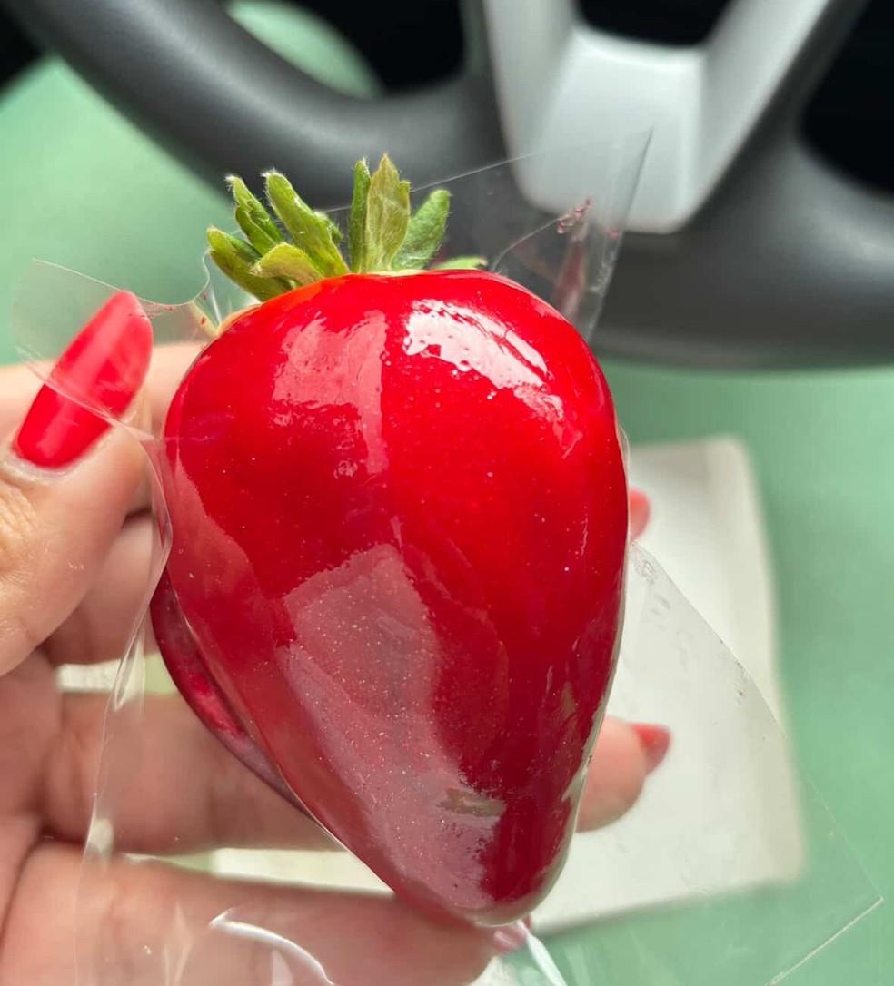 Carol produz até 750 morangos por dia