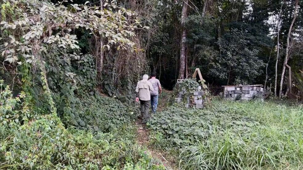 Equipes de biólogos e ambientalistas atuam para resgatar o muriqui-do-norte.
