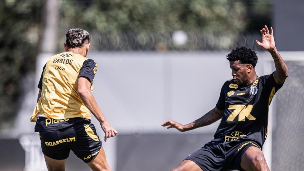 Santos se prepara para enfrentar o Vasco pelo Brasileirão.