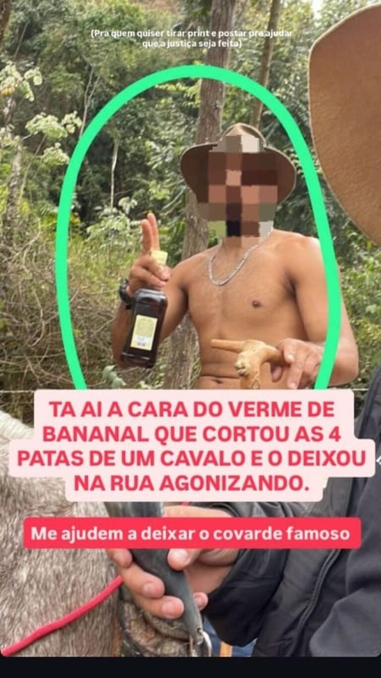 A Revolta de Ana Castela Após Mau-Trato a Cavalo em Bananal