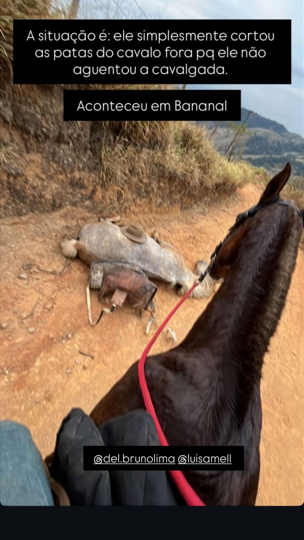 Ana Castela denuncia crime de maus-tratos após receber vídeo de cavalo agonizando