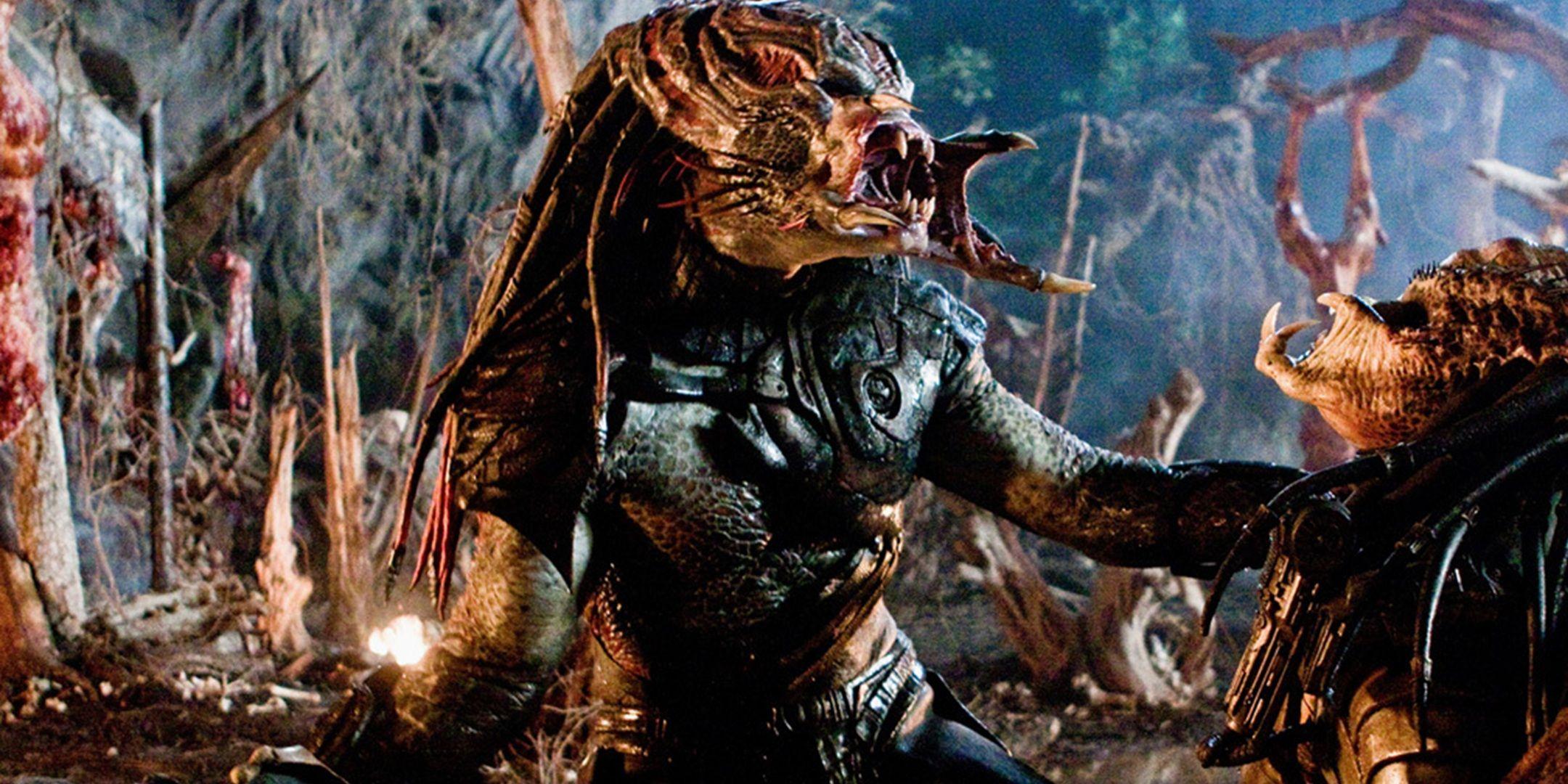 Um Predator letal em ação