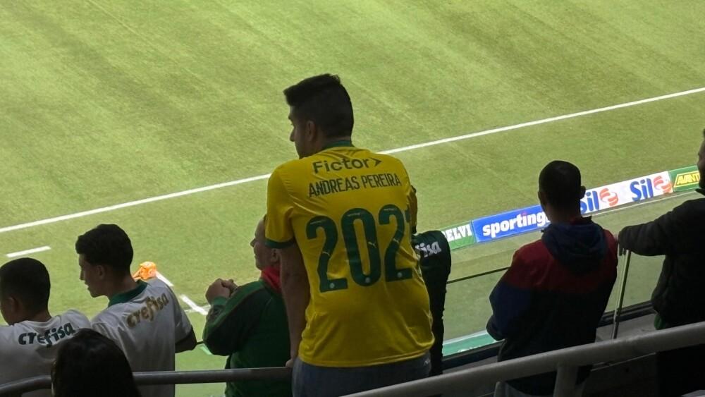 Torcedor do Palmeiras com camisa personalizada durante jogo contra o Sport.
