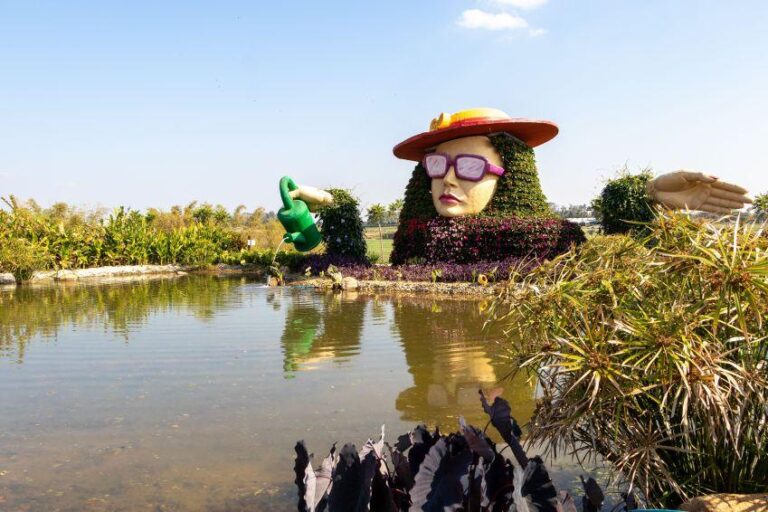 Expoflora 2025: A Celebração das Flores em Holambra