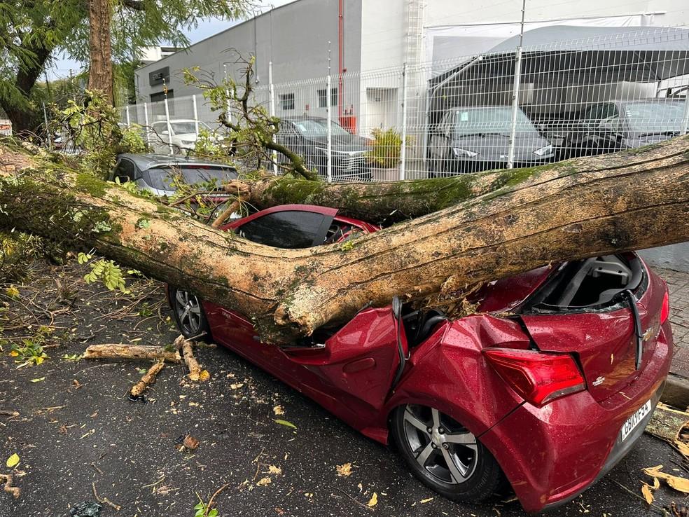 Galho de árvore cai durante temporal e destrói carro em São José dos Campos, SP
