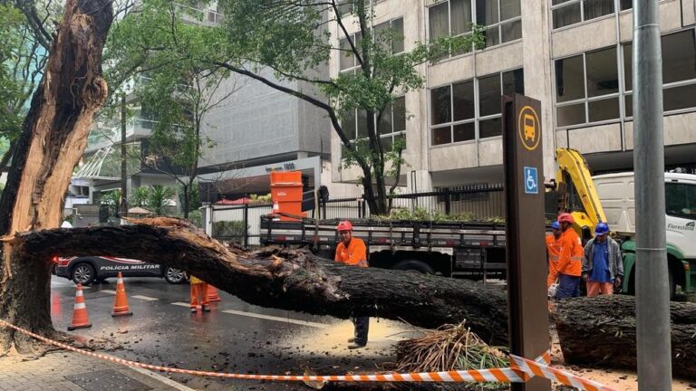Temporal em São Paulo: Alerta Severíssimo da Defesa Civil e Estragos Generalizados