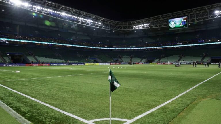 Palmeiras vence Fortaleza em jogo decisivo do Brasileirão