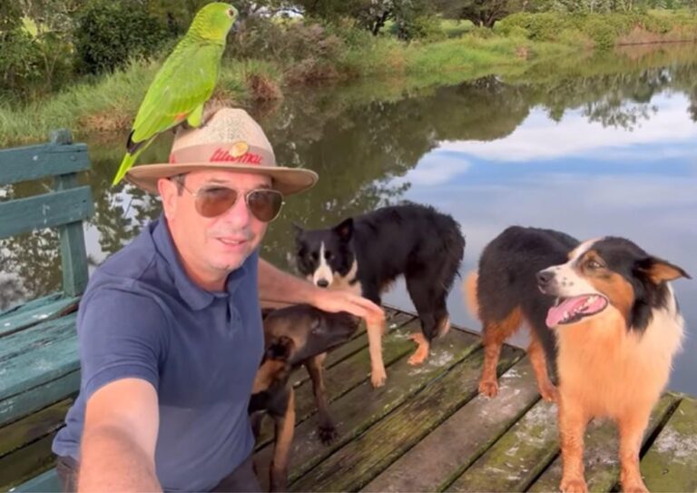 A morte trágica do influencer João Jacinto Dias em acidente na SP-258