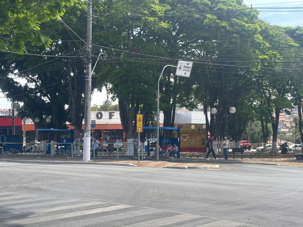 Ataque de abelhas interditou a Avenida Peixoto Gomide em Itapetininga