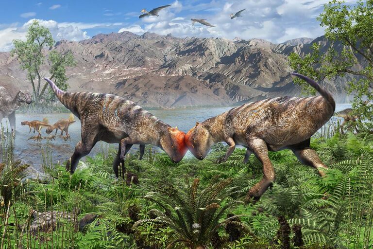 Descoberta Revolucionária: Fóssil Antigo de Dinossauro com Cabeça em Forma de Domo é Encontrado na Mongólia