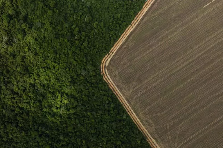 Receita Federal e Incra firmam acordo para novo sistema de declaração de imóveis rurais