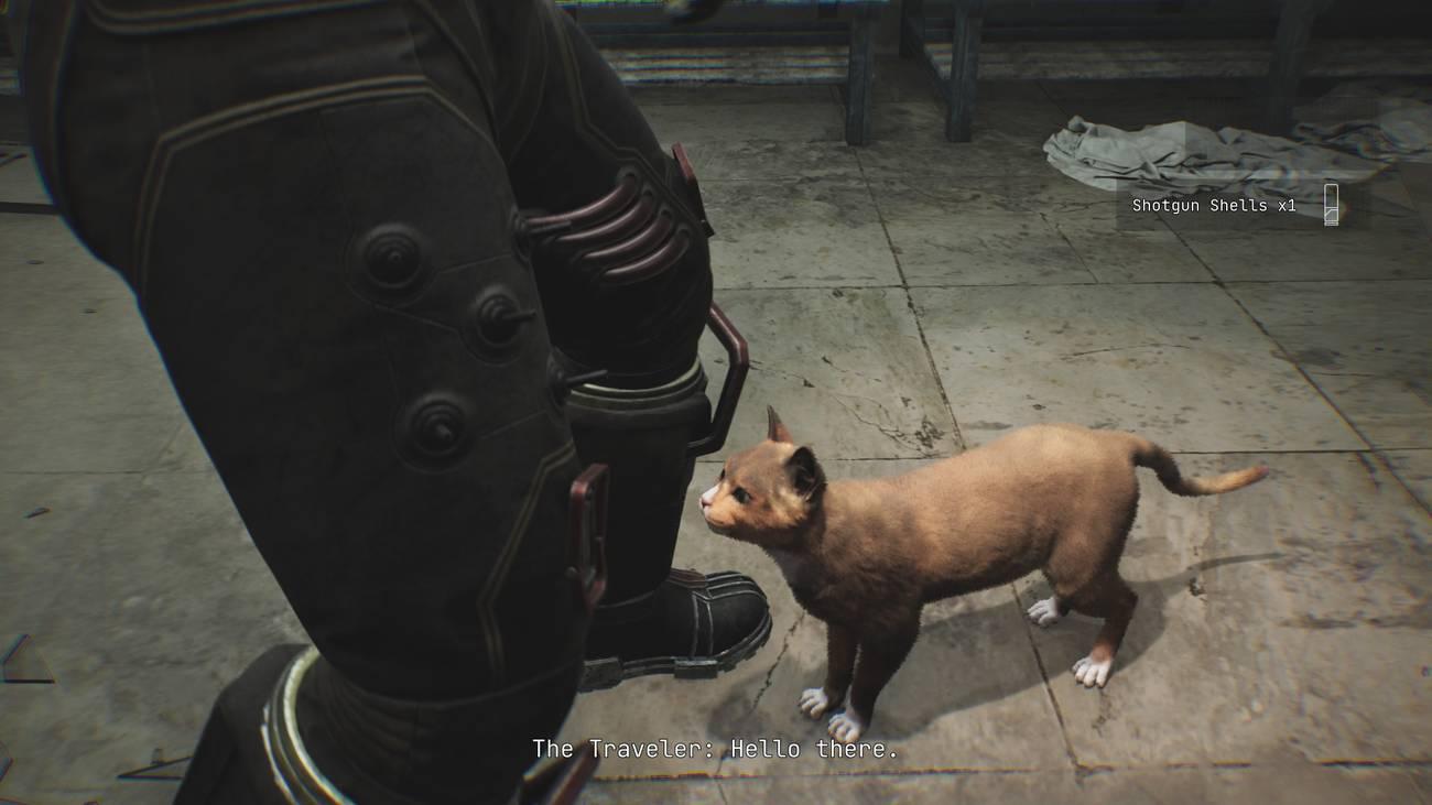 The Traveler acaricia um gato, que parece ser imune à mudança.