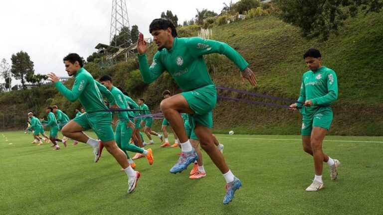 Altura e Adaptação: Como o Palmeiras Enfrenta os Desafios da Altitude na Libertadores